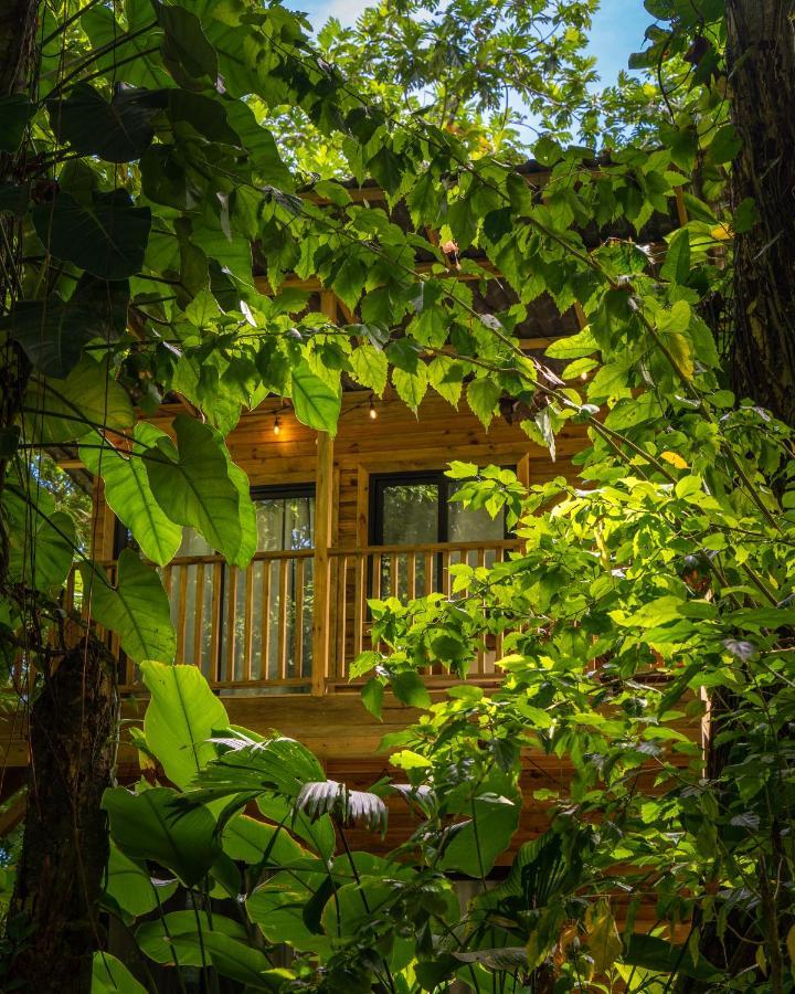 Palmar Beach Lodge Bocas del Toro Exterior foto