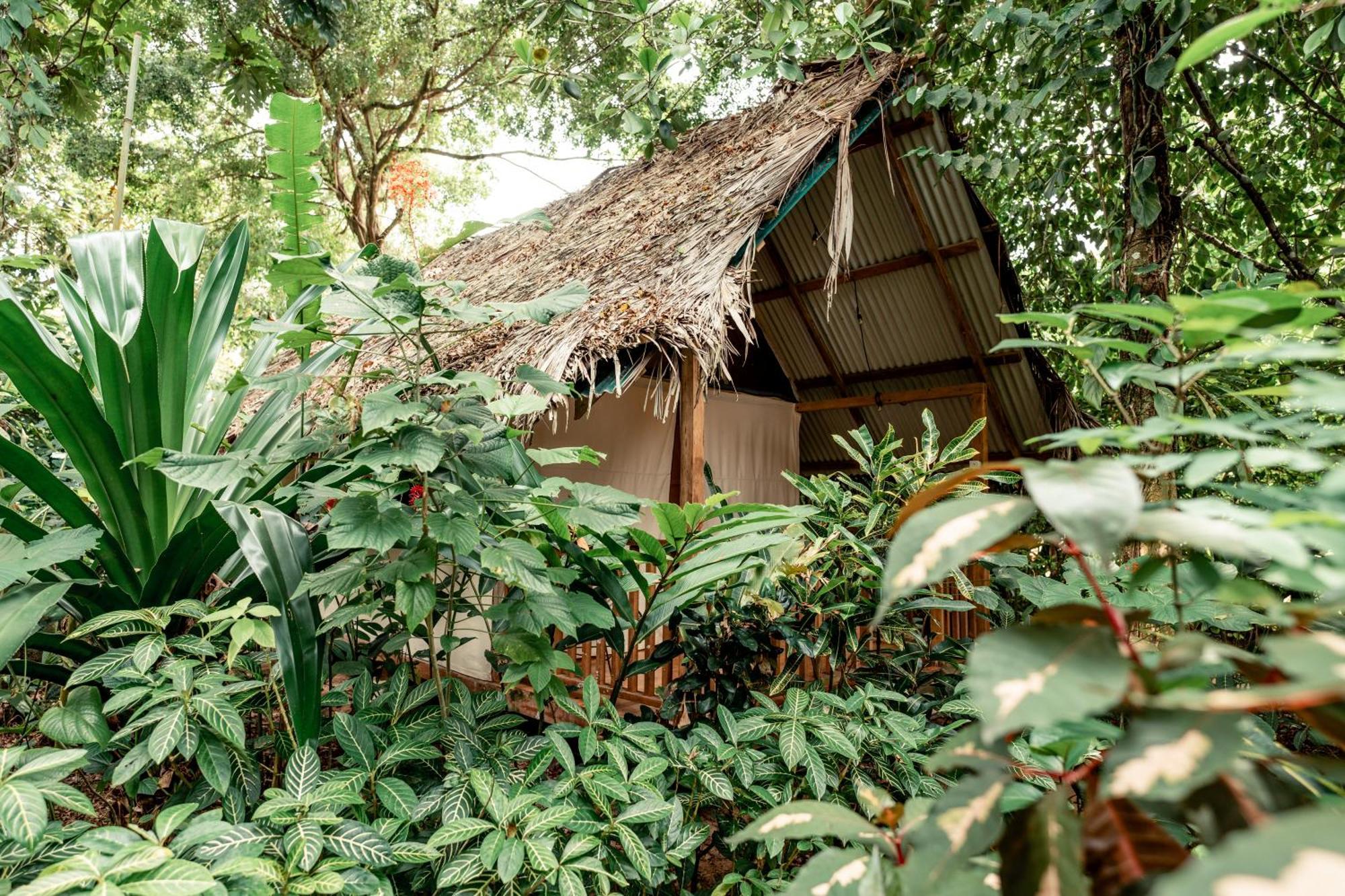 Palmar Beach Lodge Bocas del Toro Exterior foto